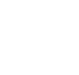 Иконка компании ninox